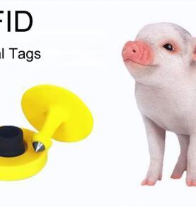 UHF RFID paneb sigadele ID-kaardi ja jälgib nende elu sünnist tapmiseni