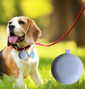 iBEACON Bluetooth lemmikloomade kadumisvastane elektrooniline koeramärgis pikamaa loomade tuvastamiseks mõeldud koeramärkide tootjate hulgimüük