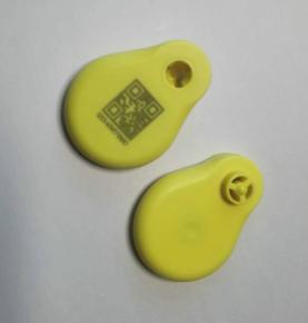 2.4G RFID veiste ja lammaste sammulugemise ja temperatuuri mõõtmise kõrvamärgid, RFID positsioneerimise sammulugemise ja temperatuuri mõõtmise kõrvamärgid, 2.4G RFID aktiivkaardiga loomakasvatuse kõrv