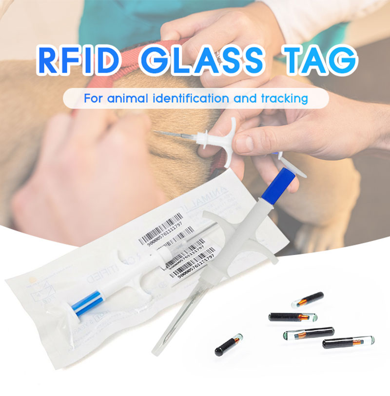 Looma süstimiseks mõeldud RFID-klaasist toru bioelektrooniline silt